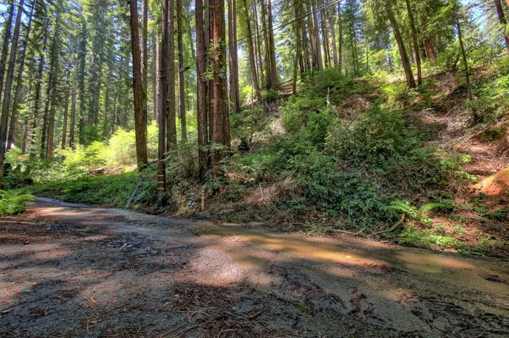 154 Leafwood Drive, Boulder Creek, CA 95006 - #1