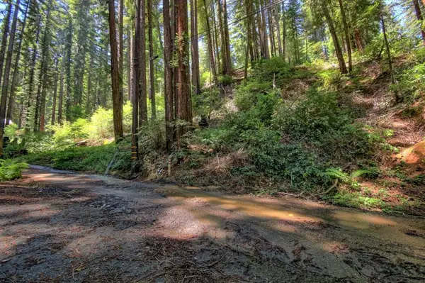 154 Leafwood Drive, Boulder Creek, CA 95006