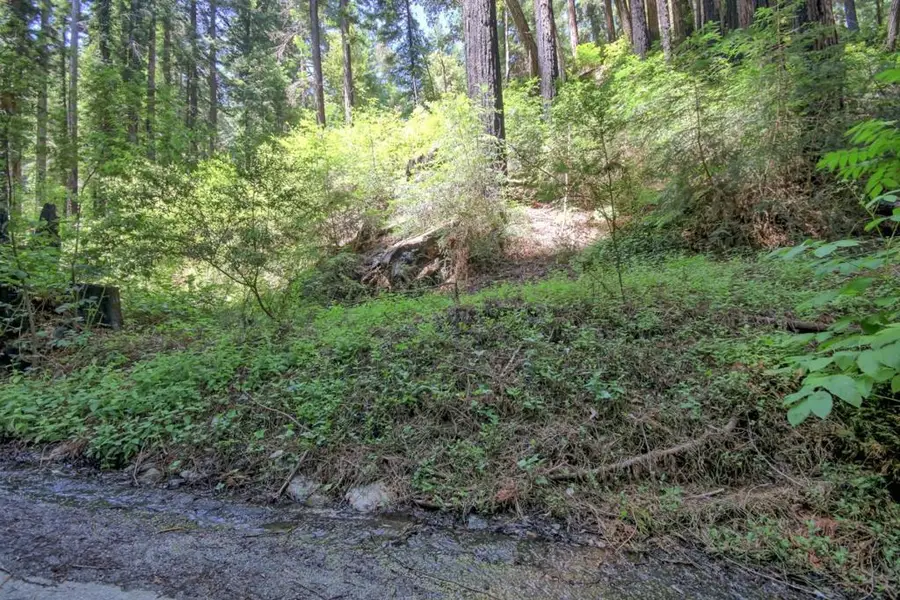 154 Leafwood Drive, Boulder Creek, CA 95006 - #3