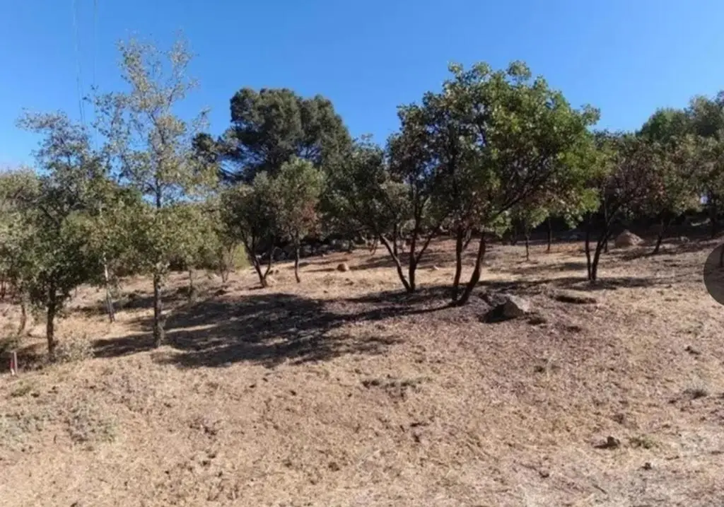 Address Withheld By Seller, Kelseyville, CA 95451 - #1
