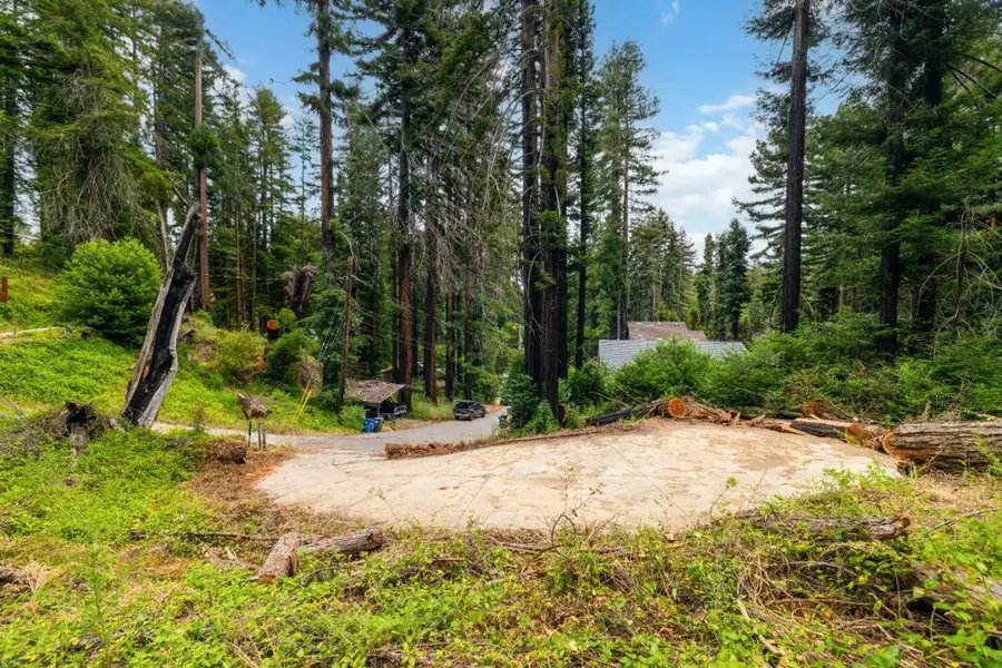 1131 Rambling Road, Boulder Creek, CA 95006 - #3