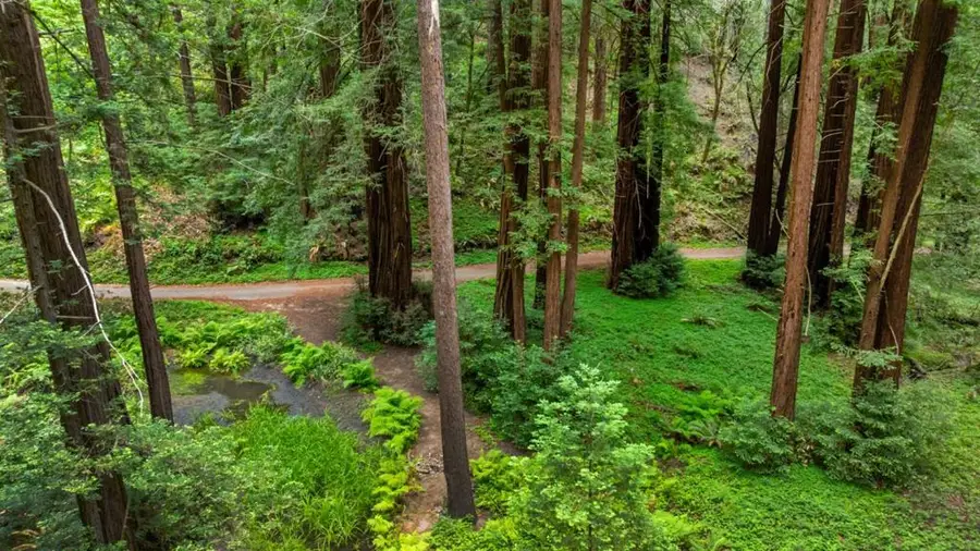 27 Willis Road, Scotts Valley, CA 95066 - #3