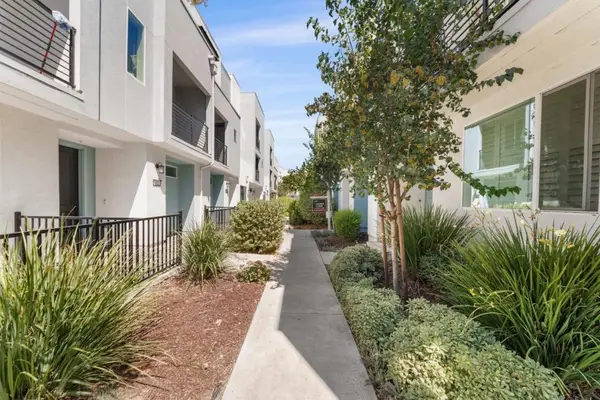 709 Fruit Ranch Loop, San Jose, CA 95133