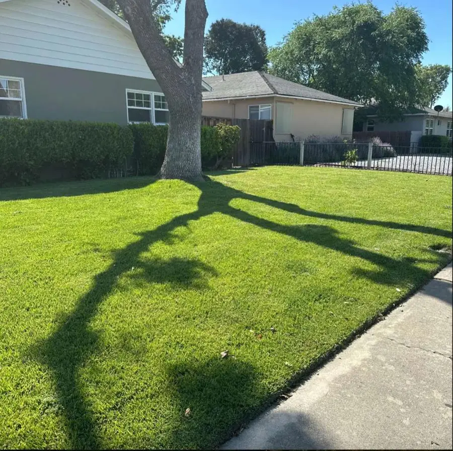 964 Princess Anne Drive, San Jose, CA 95128 - #2