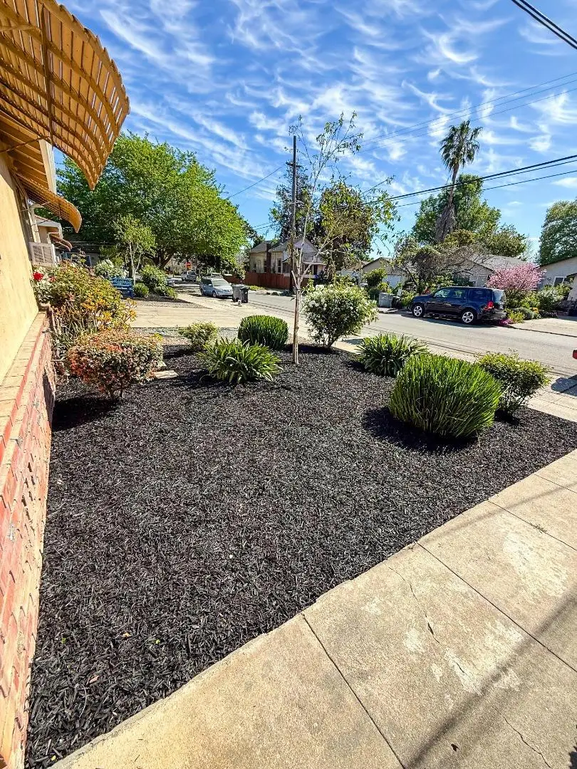 820 N 16th Street, San Jose, CA 95112 - #3