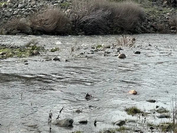 3224 Silver Bush Place, Catheys Valley, CA 95306