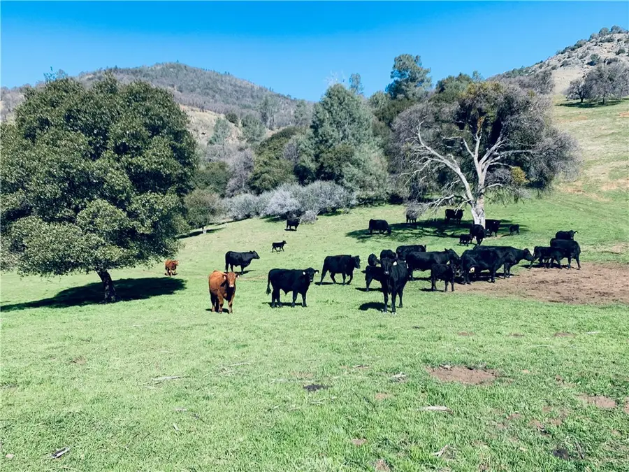 1532 -Acres Cya Road, Mariposa, CA 95338 - #2