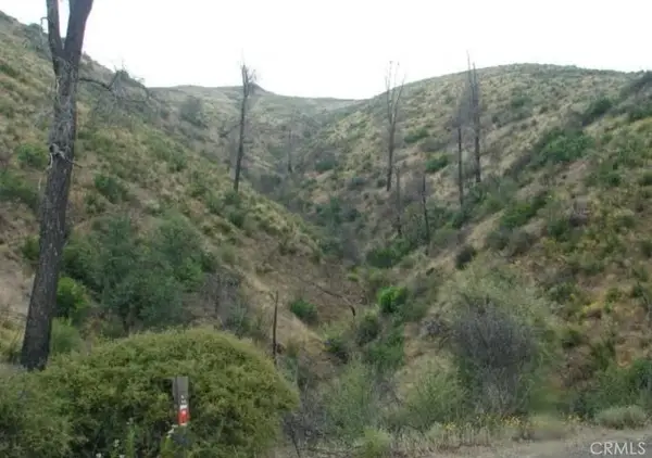 18524 Bartlett Springs Road, Lucerne, CA 95458