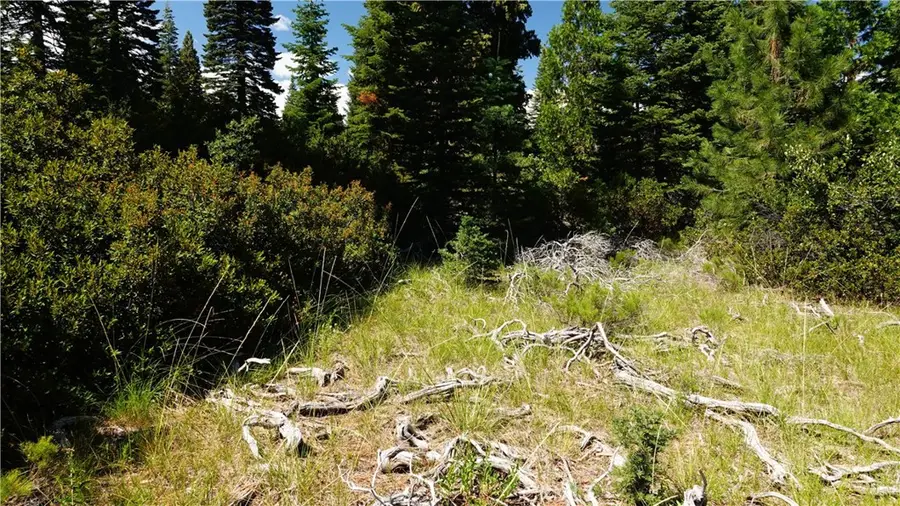 0 Echo Way, McCloud, CA 96057 - Image #2