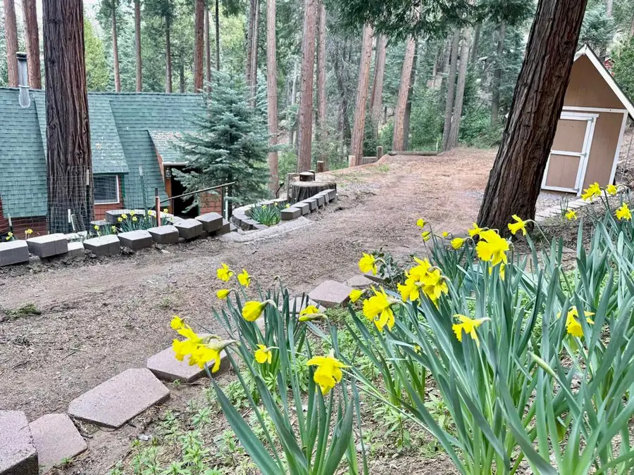 32811 Birch Hill Road, Palomar Mountain, CA 92060 - #2