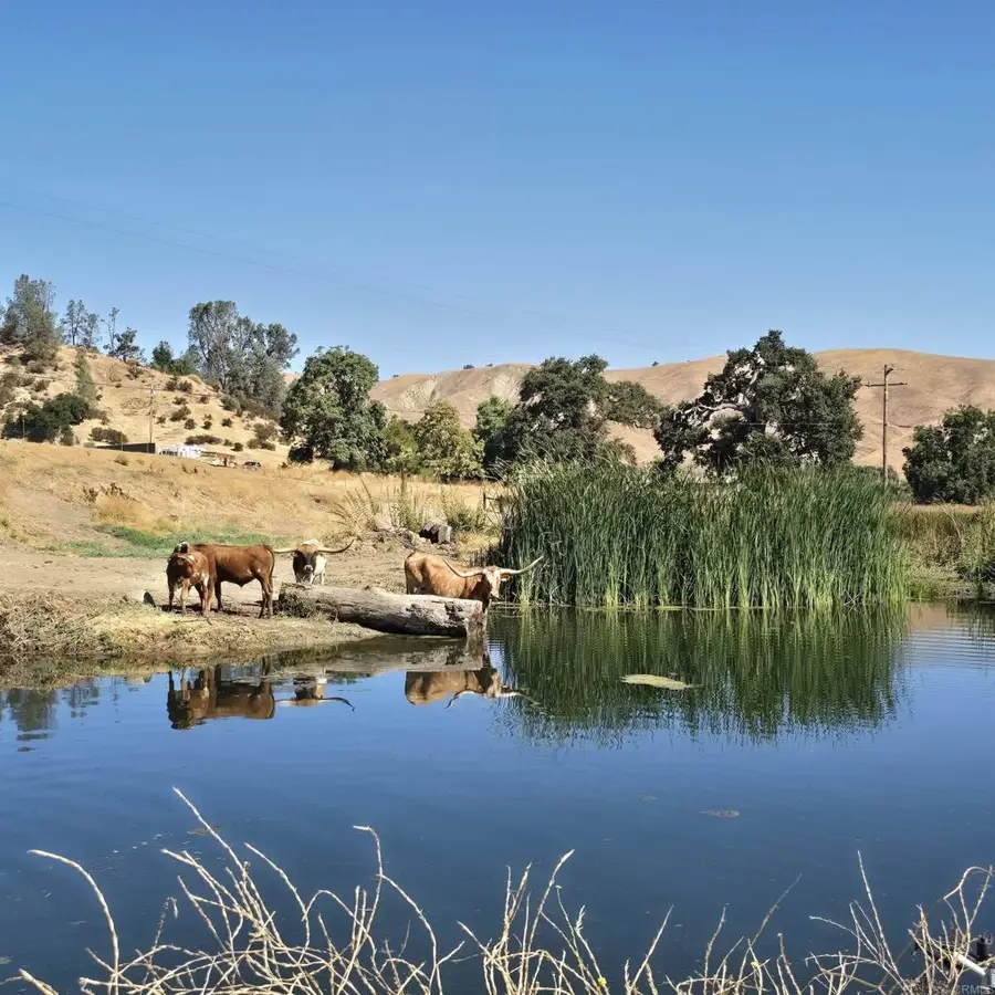 550 Limekiln Road, Hollister, CA 95023 - #2