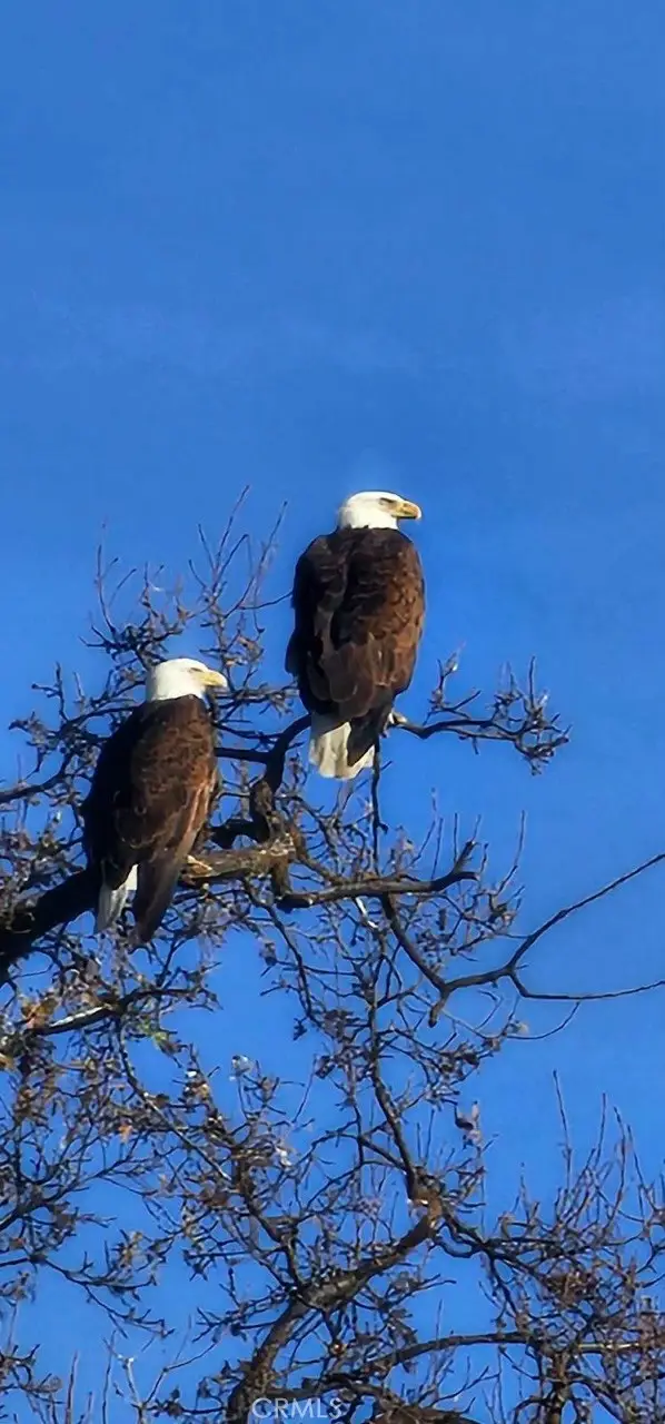 0 Interlake Road, Bradley, CA 93426 - Image #2