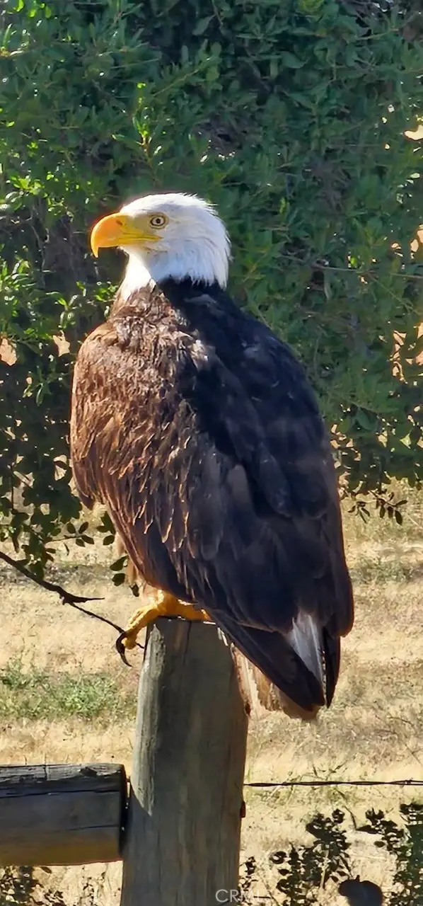 0 Interlake Road, Bradley, CA 93426 - Image #3