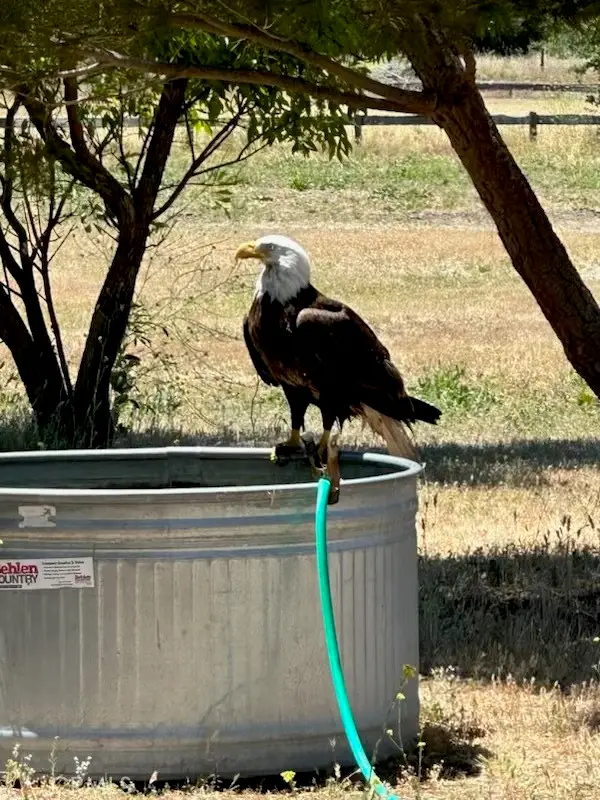 1 Interlake Road, Bradley, CA 93426 - Image #2