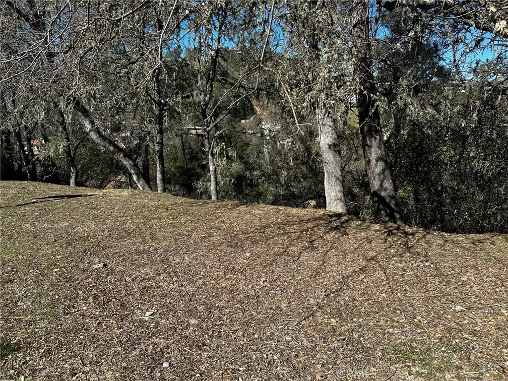 8209 Woody Point Lane, Bradley, CA 93426 - #1