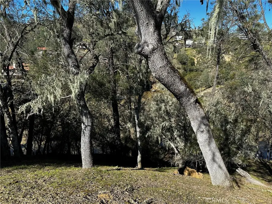 8209 Woody Point Lane, Bradley, CA 93426 - #3