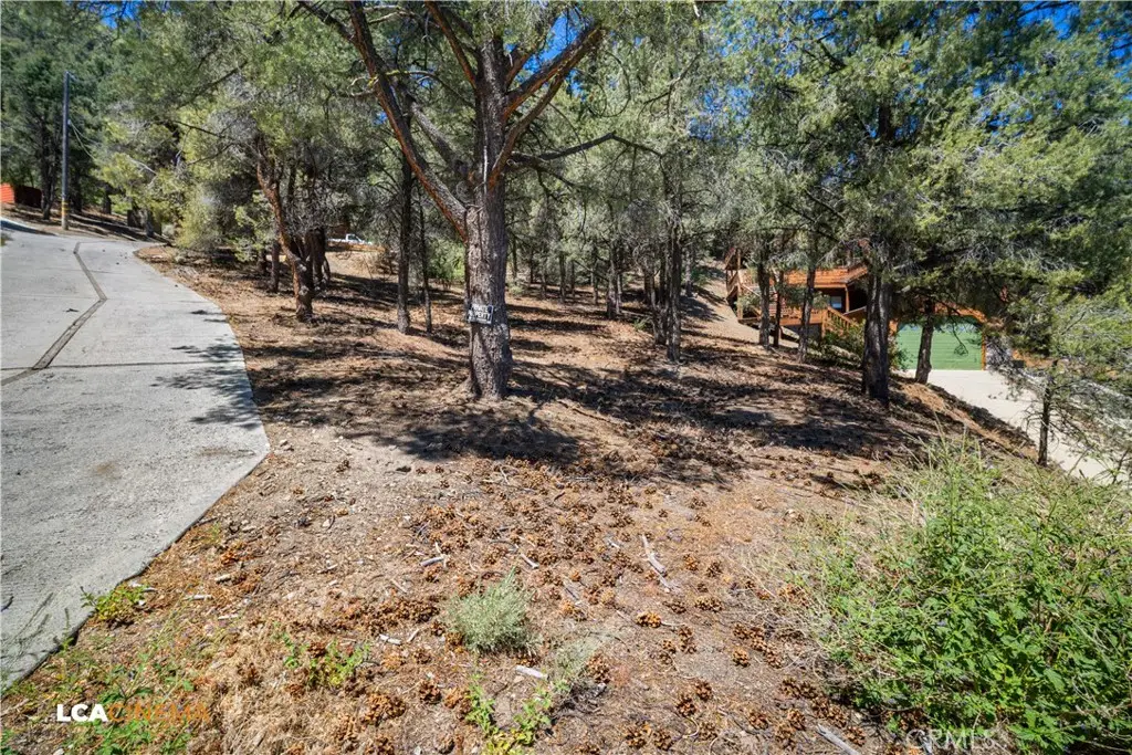 2212 Tirol Drive, Pine Mountain Club, CA 93222 - #1