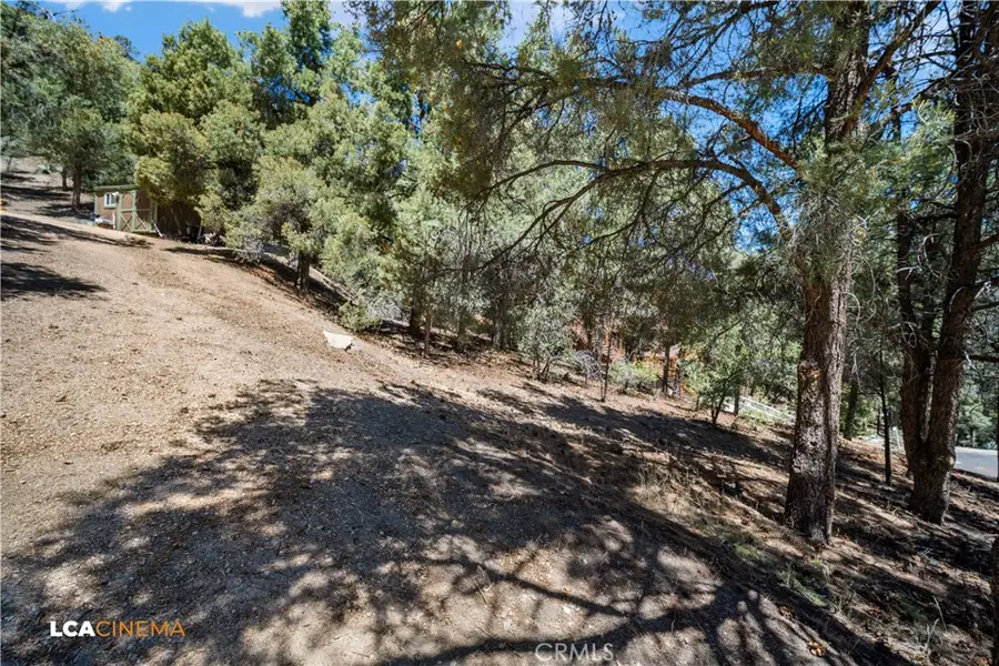 2212 Tirol Drive, Pine Mountain Club, CA 93222 - #3