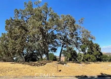 9970 Bluegill Drive, Paso Robles, CA 93446 - Image #3