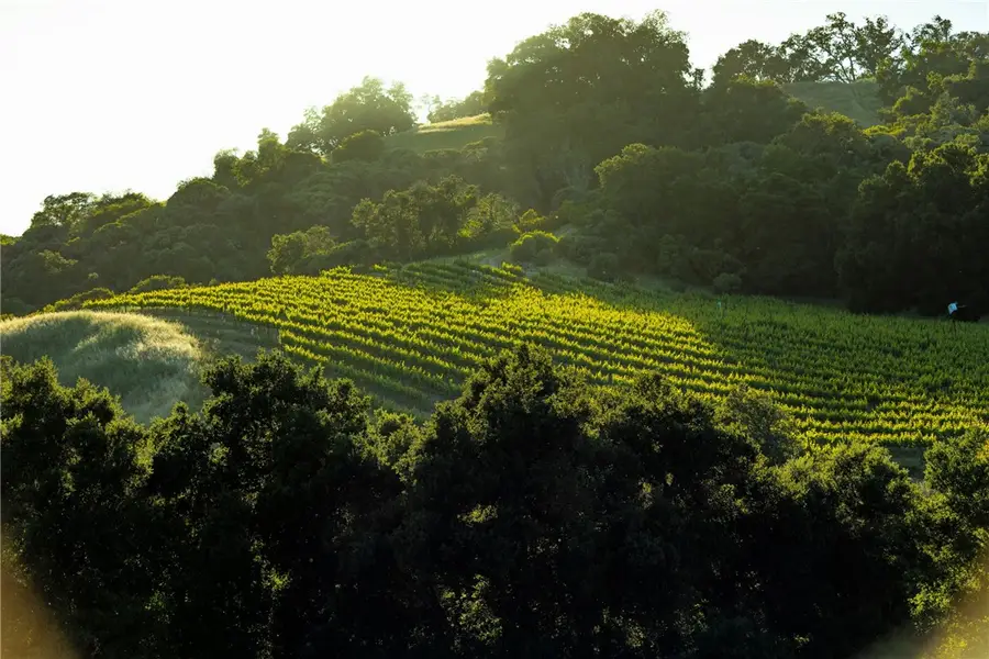 0 Adelaida Road, Paso Robles, CA 93446 - Image #3