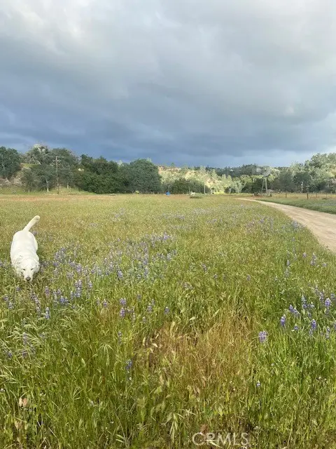 1575 Parkhill Road, Santa Margarita, CA 93453 - #1