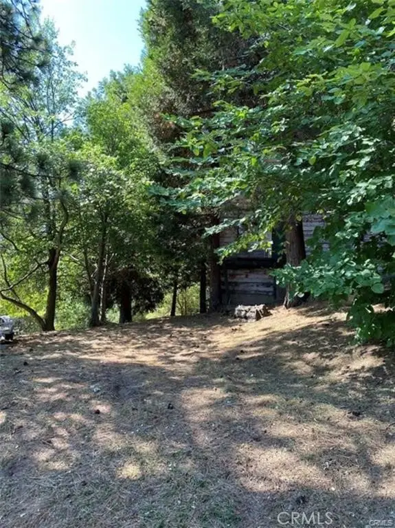 0 Pine Drive, Cedarpines Park, CA 92322