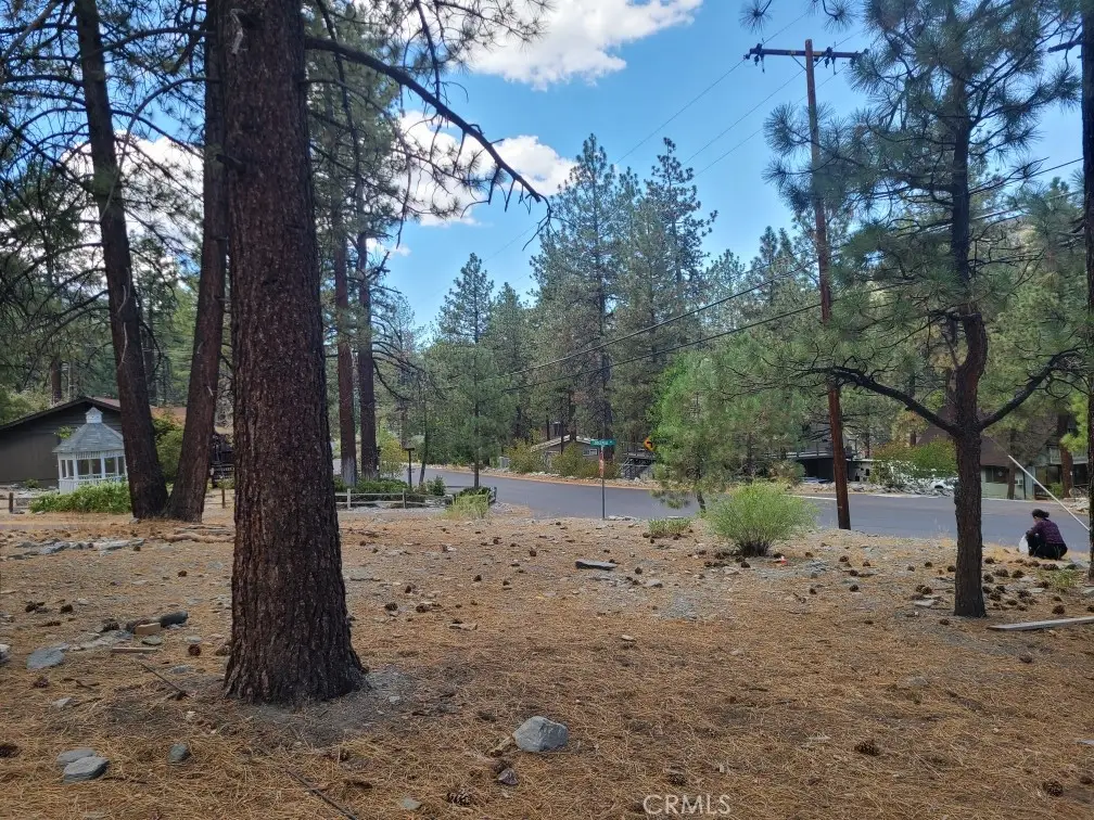 0 Lodgepole Drive, Wrightwood, CA 92397 - #1