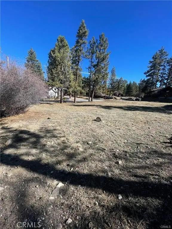 40063 Big Bear Boulevard, Big Bear Lake, CA 92315 - #2
