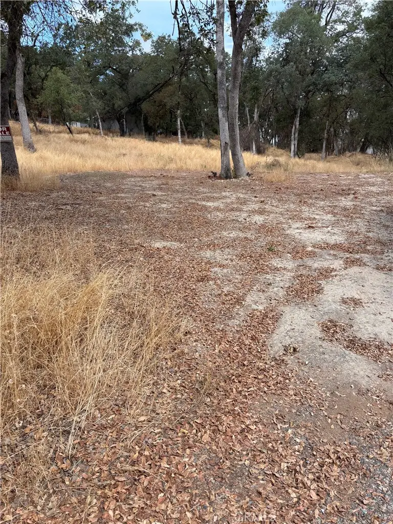 3885 Rosey Way, Placerville, CA 95667 - #2