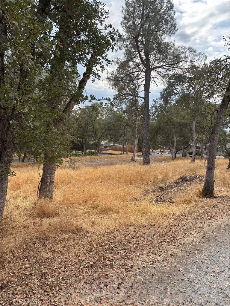 3885 Rosey Way, Placerville, CA 95667 - #3