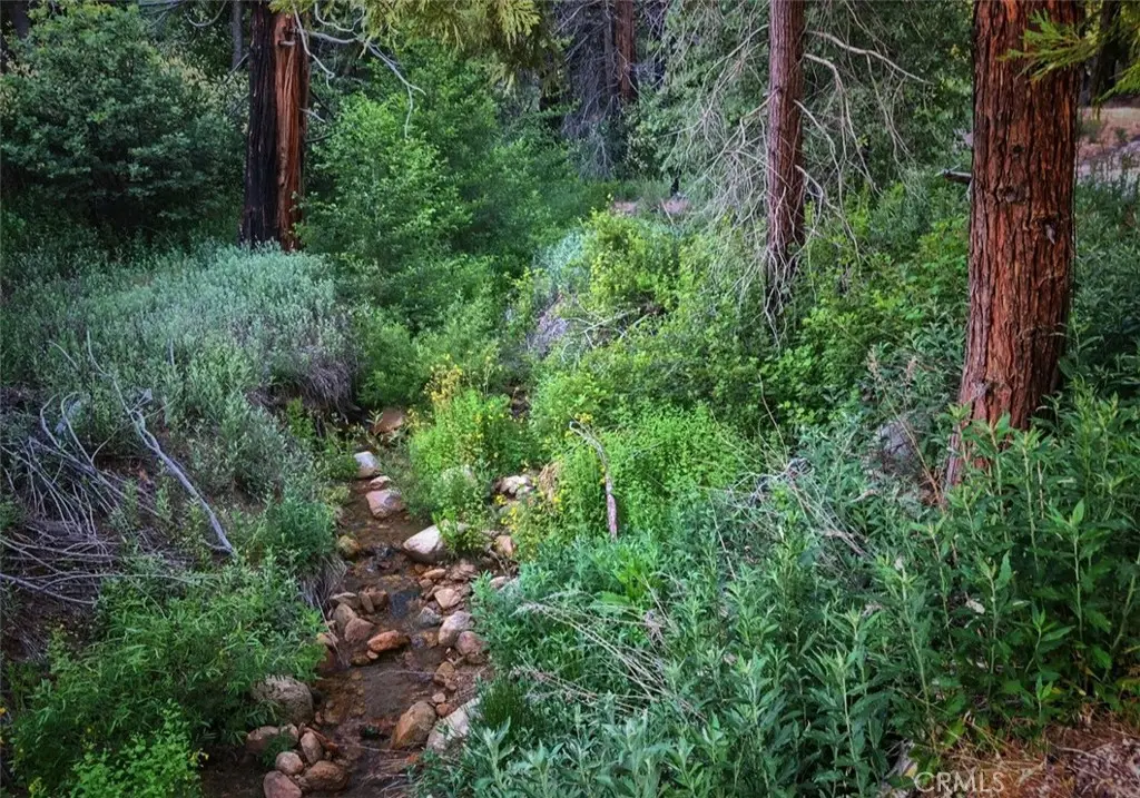 1 Fredalba Road, Running Springs, CA 92382 - Image #1