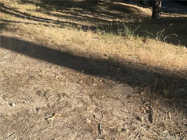 22 Deer Lick Drive, Running Springs, CA 92382