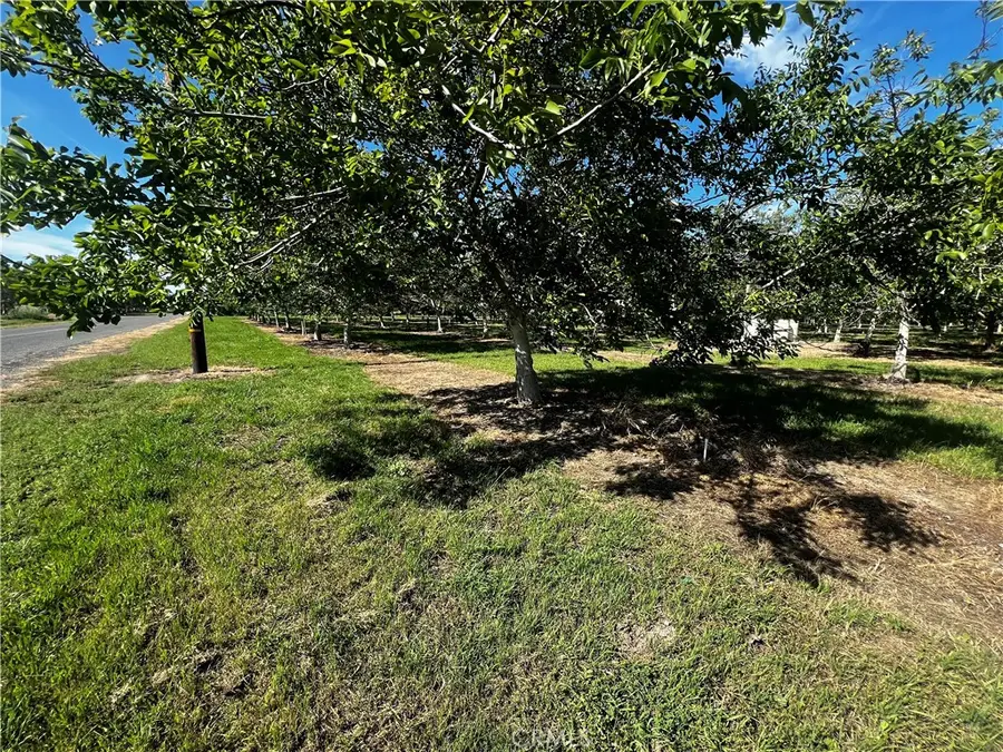 4180 County 203 Road, Hamilton City, CA 95951 - #3