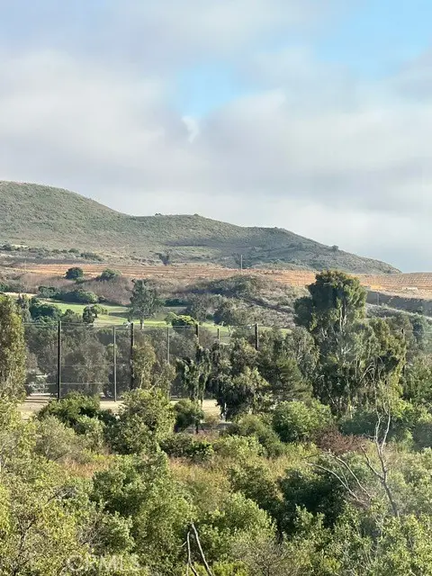 27086 Via Caminata, San Juan Capistrano, CA 92675 - #3