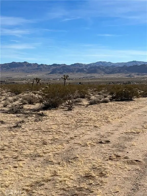 7 Bellflower Road, Joshua Tree, CA 92252 - Image #2