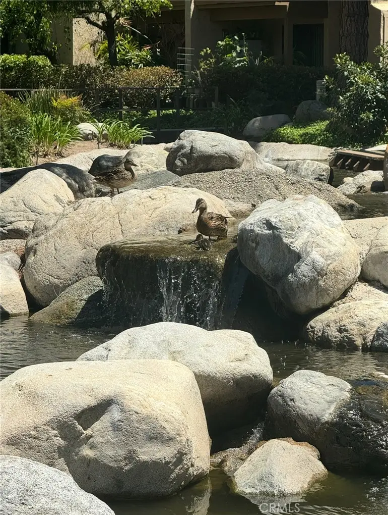 124 Tangelo Unit 390, Irvine, CA 92618 - #3