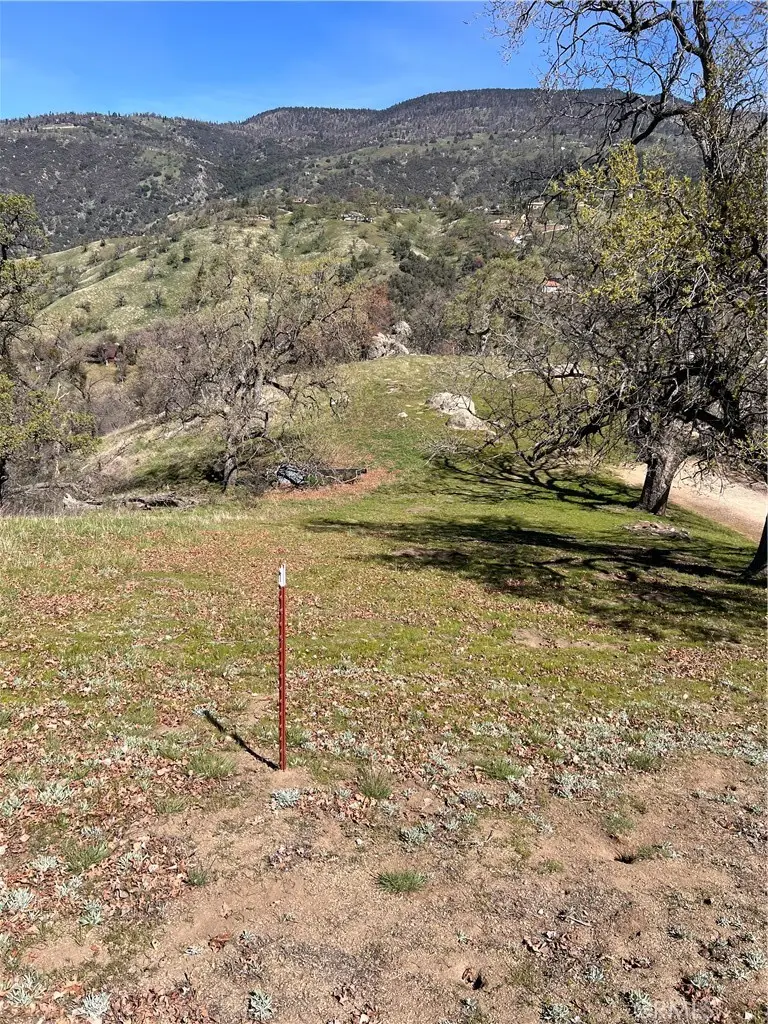 24200 Canyon Court, Bear Valley Springs, CA 93571 - #1