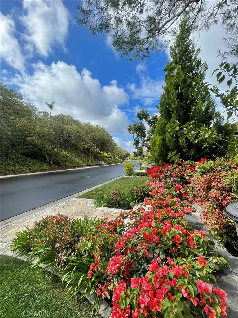 35 Augusta, Trabuco Canyon, CA 92679 - #3