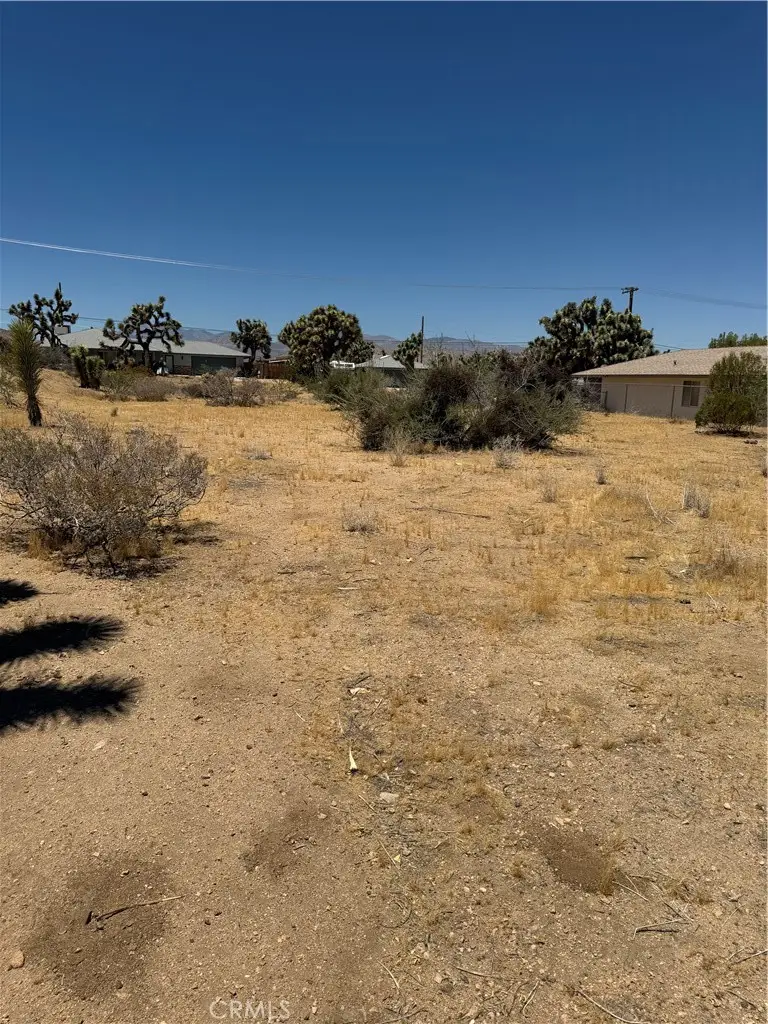 8001 Aster Avenue, Yucca Valley, CA 92284 - #2
