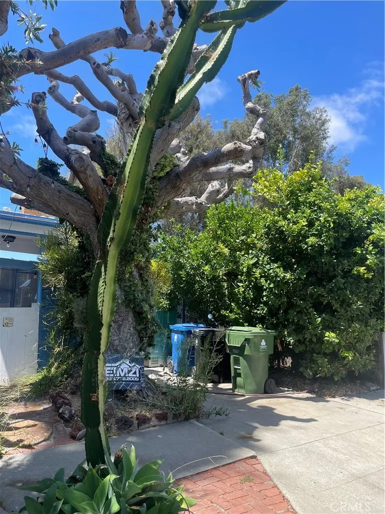 12117 Alberta Dr, Los Angeles, CA 90230 - #2