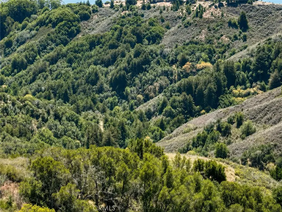 46190 Pfeiffer Ridge, Big Sur, CA 93920 - #2