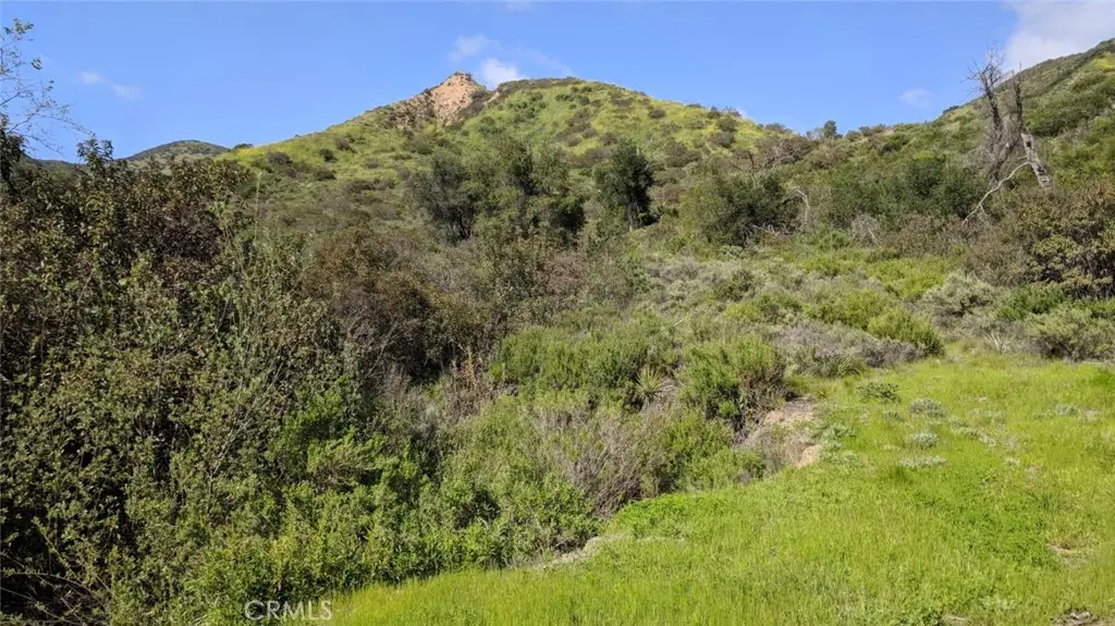 30221 4 Lot Old Stage Road, Trabuco Canyon, CA 92676 - #1