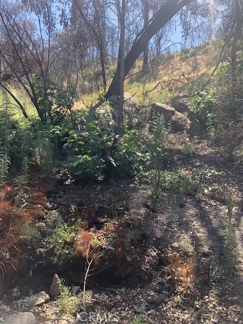 0 Union Bar Road, Oroville, CA 95966 - Image #3