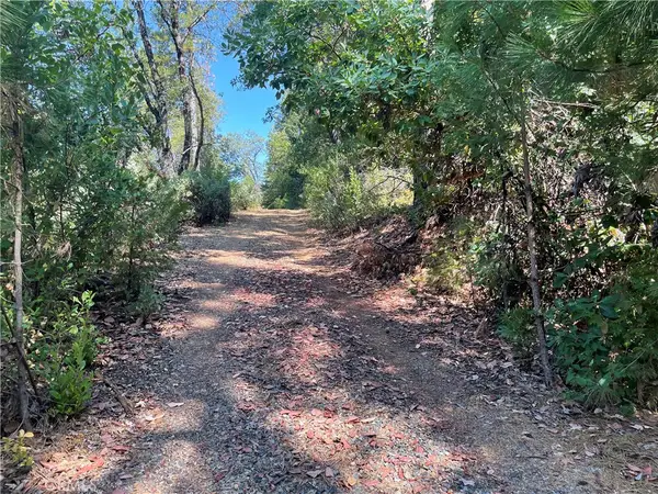 0 Forbestown, Challenge, CA 95925