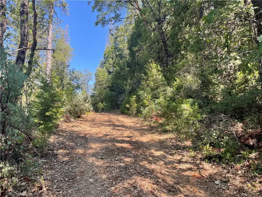 0 Forbestown, Challenge, CA 95925 - #2