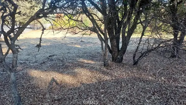 494 Kelly Ridge Road, Oroville, CA 95966