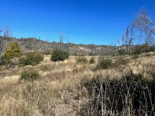 0 Craig Access, Feather Falls, CA 95940