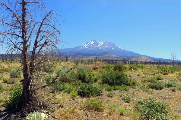 0 Juniper Valley, Weed, CA 96094
