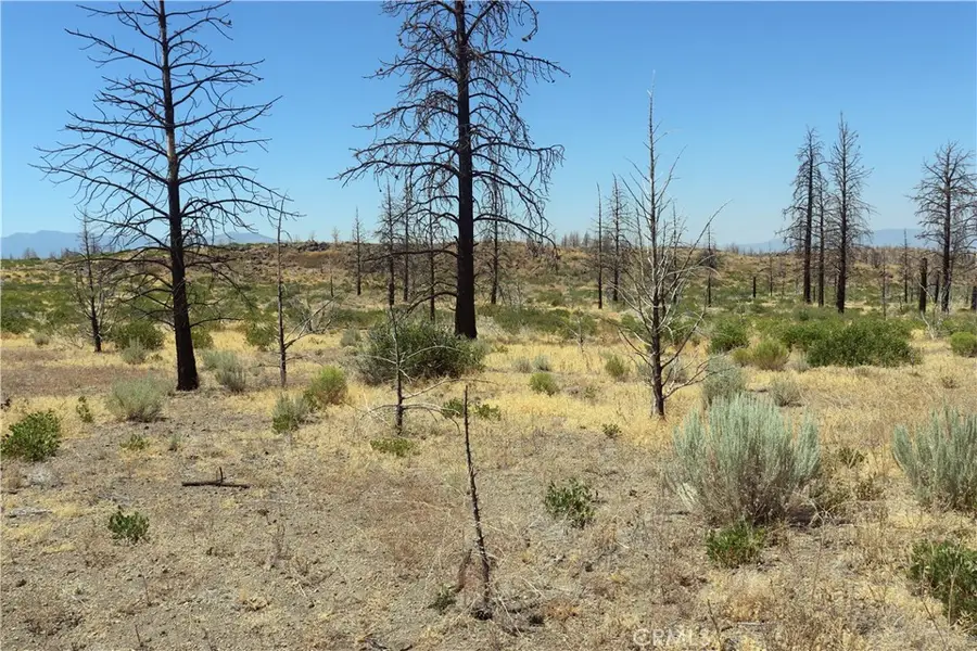 0 Juniper Valley, Weed, CA 96094 - #2