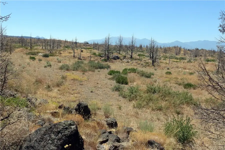 0 Juniper Valley, Weed, CA 96094 - #3
